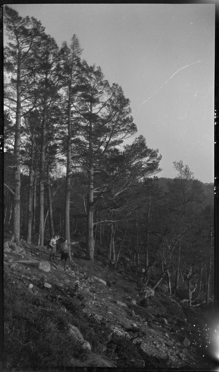 Fjelltur Prekestolen. Sverre Eide, Harald Åmodt ...