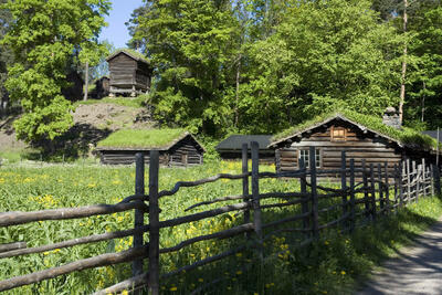 The Dairy Farm from Gudbransdalen. Foto/Photo