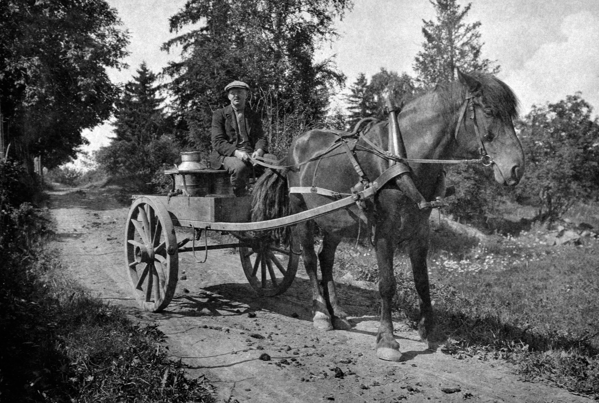 Harald Braanaas kjører melk med hest og kjerre i Ambsgutua, Heramb ...